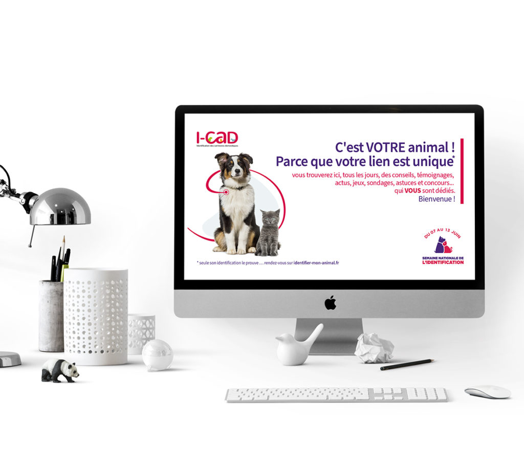 Campagne Web, ICAD